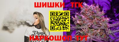 индика Бийск